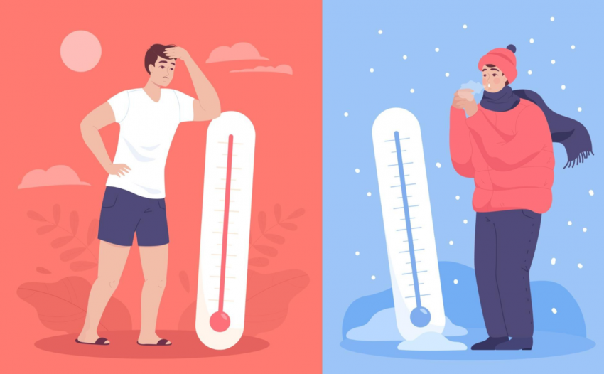 Изображение: ru.freepik.com