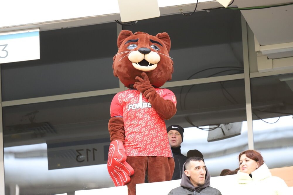 
Талисман команды Акрон Норка всегда с болельщиками на трибунах на домашних матчах.