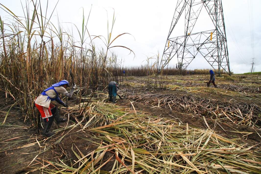 Фото: Global Look Press/Mauro Akiin Nassor
