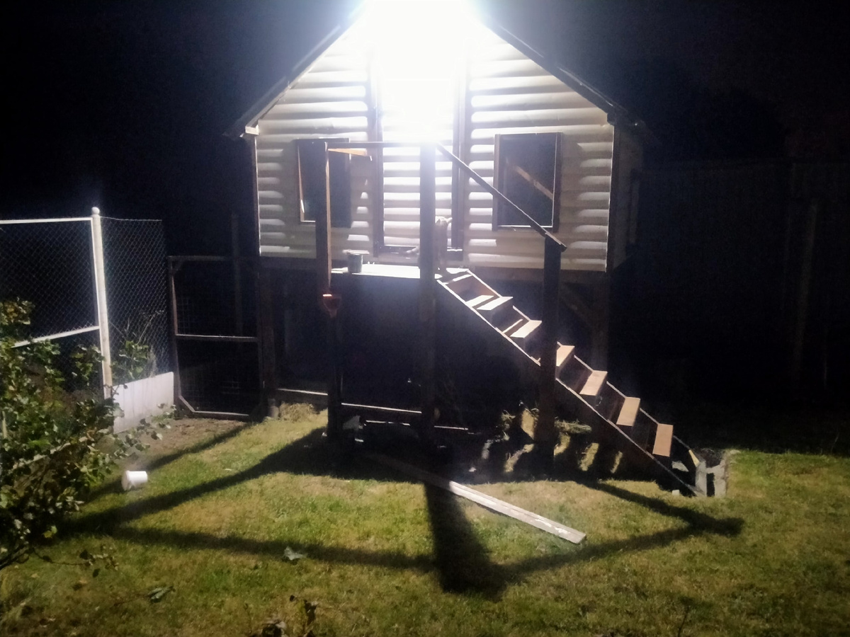 Зимний курятник