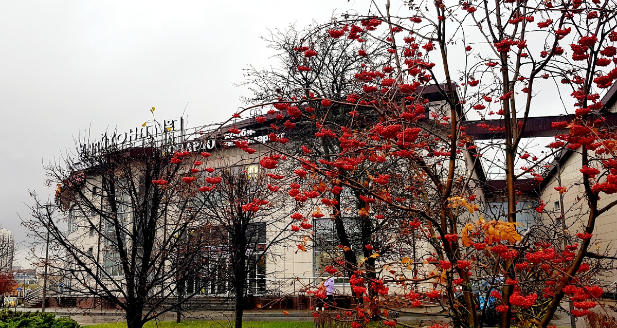 Адрес: Москва, Старокачаловская улица, дом 5А. Метро - Бульвар Дмитрия Донского 