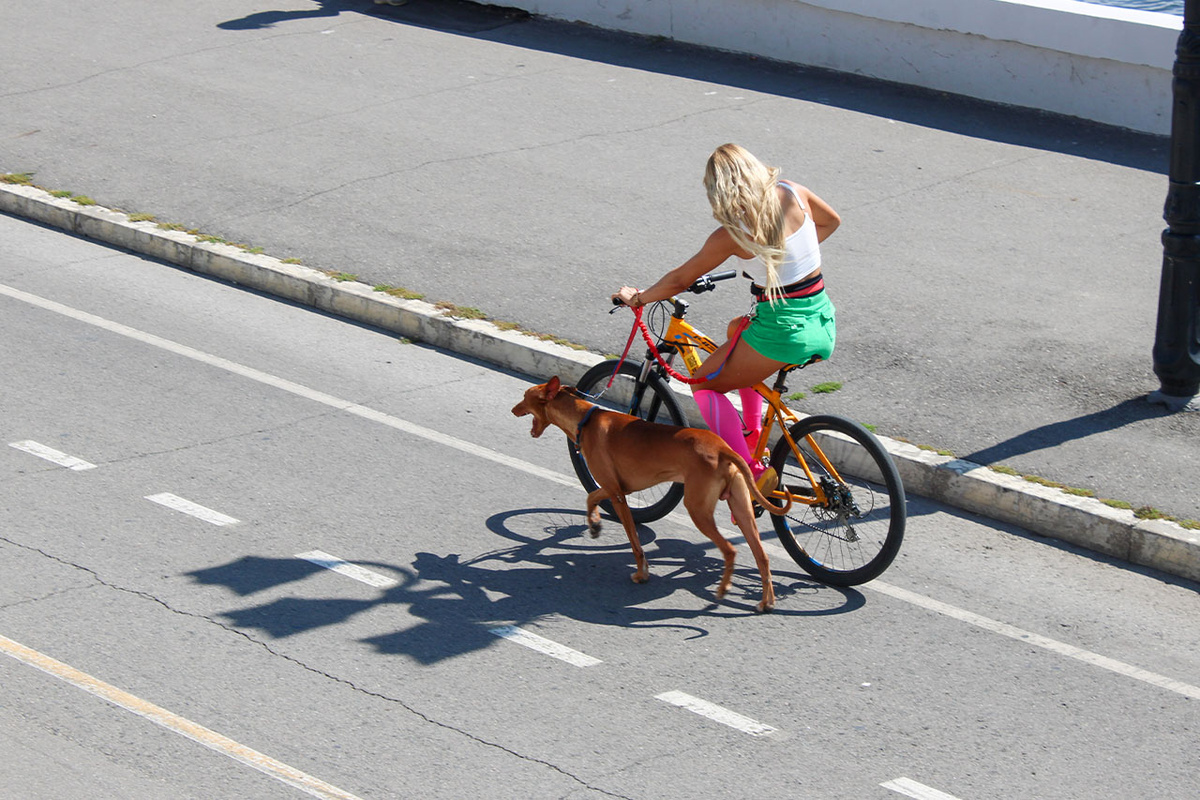 На острове Русском появится непрерывная 18-километровая велосипедная трасса.  Фото: Фото: ФедералПресс / Ксения Кобалия