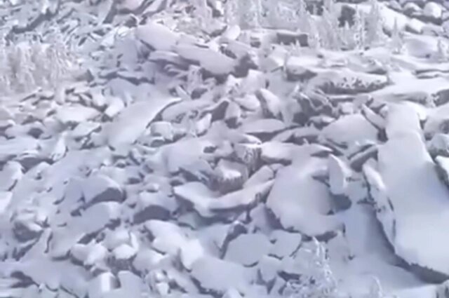    На местности очень много курумника, представляющего большую опасность для неопытных поисковиков. Фото: Лиза Алерт