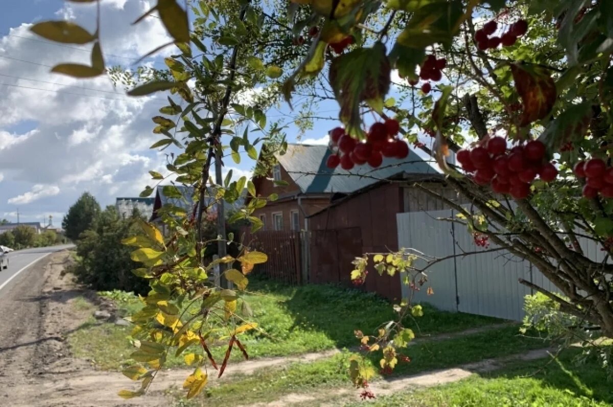    Игорь Игошин: на развитие сельских территорий направят более 470 млн рублей