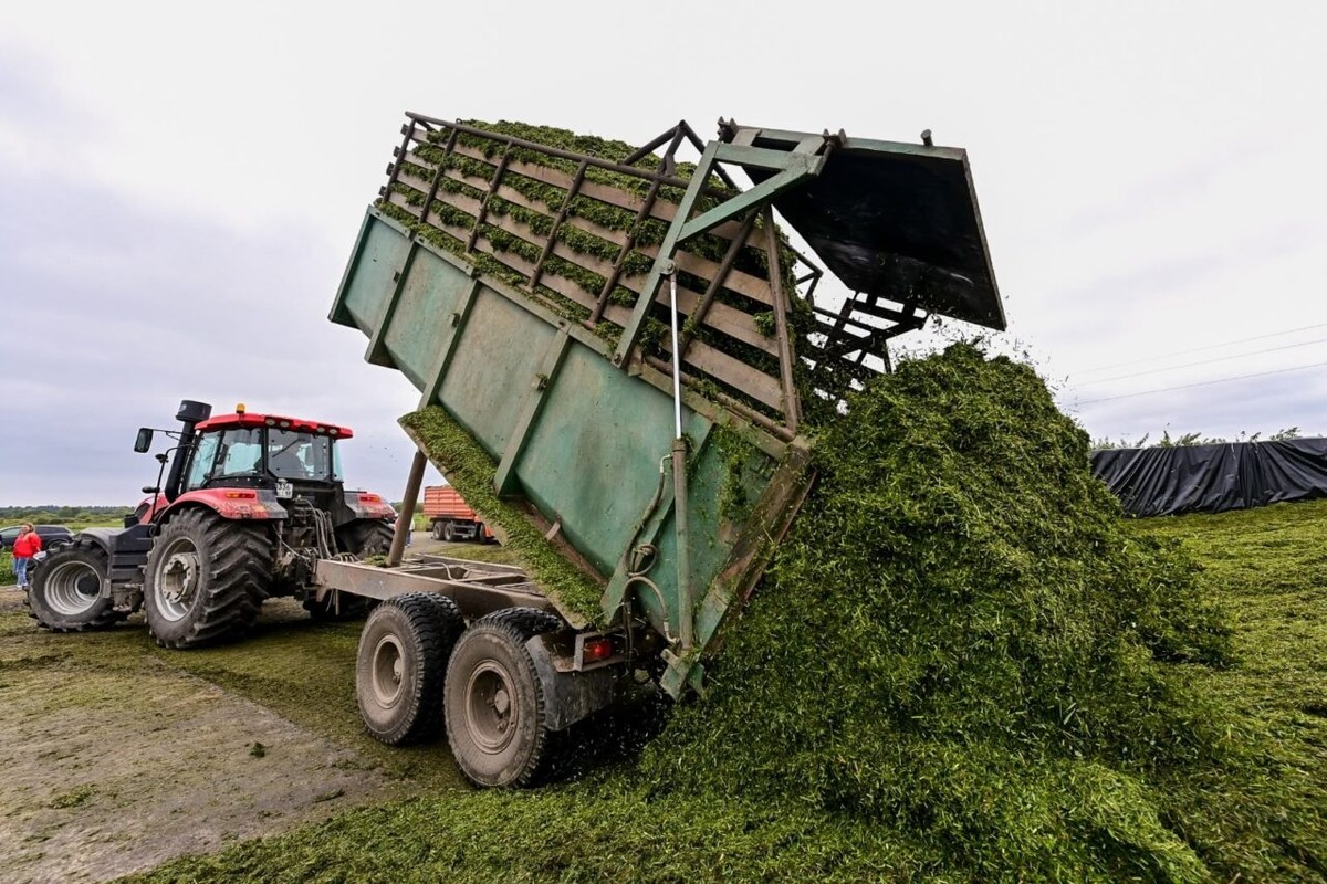   Заготовка кормов. Фото: Минсельхоз Карелии