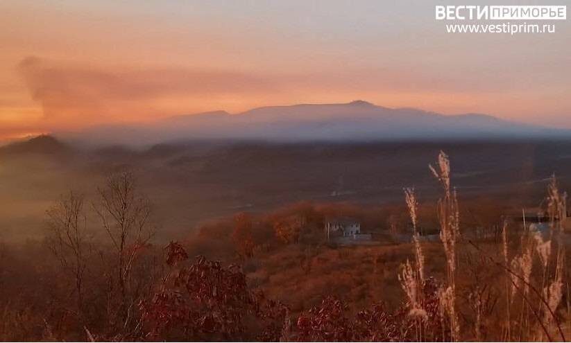    Источник фото: