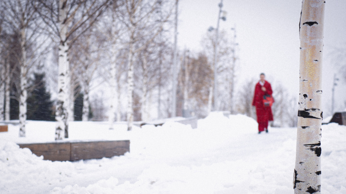 Светлана Мулыкина📷
