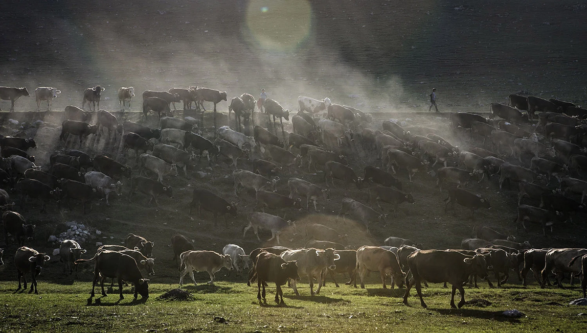 Не ругайте строго, это фото просто для примера