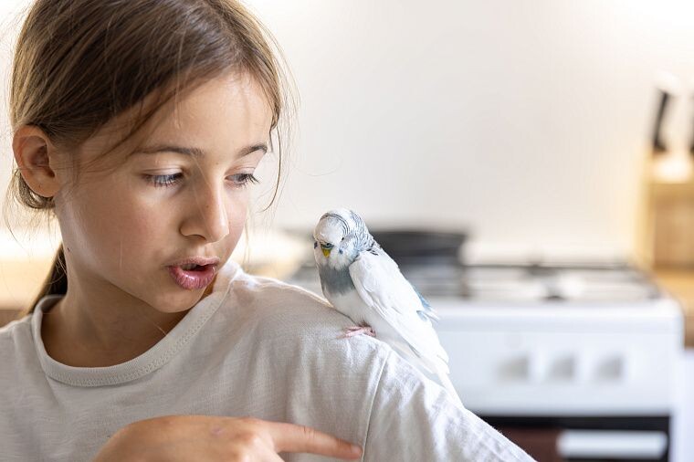 Изображение от fleepik