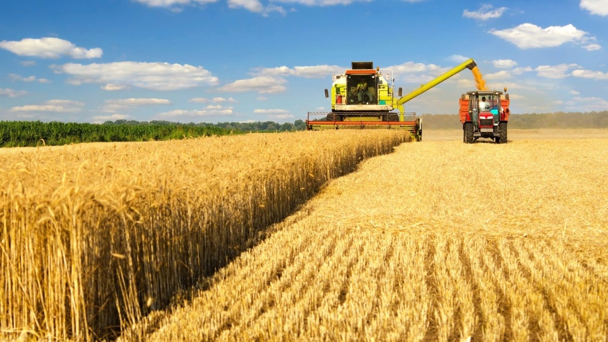    Страховой щит для урожая: названы регионы-лидеры по защите посевов в 2025 году