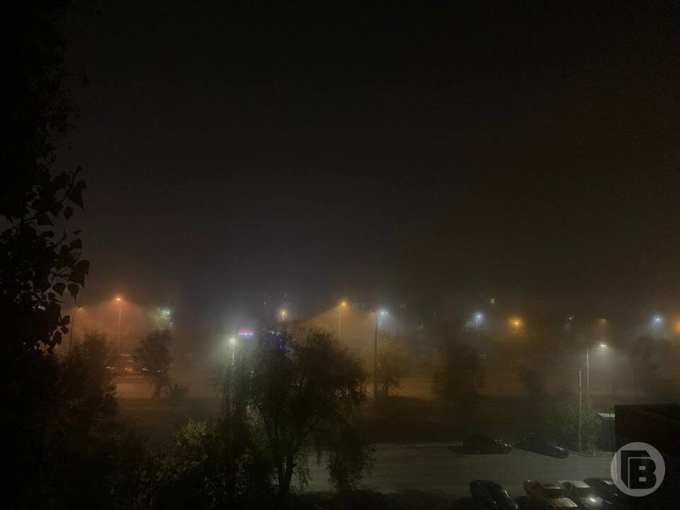    Фото: "Городские вести"