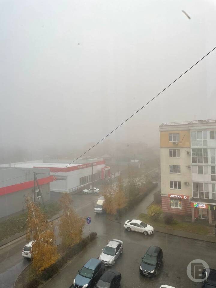    Фото: "Городские вести"