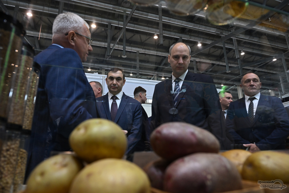    Фото: Анастасия Сибирякова © ИА «Уральский меридиан»