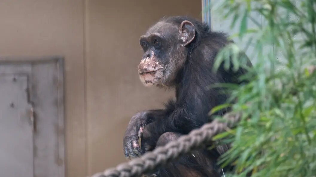    Фото: IMAGO/Martin Wagner/Globallookpress