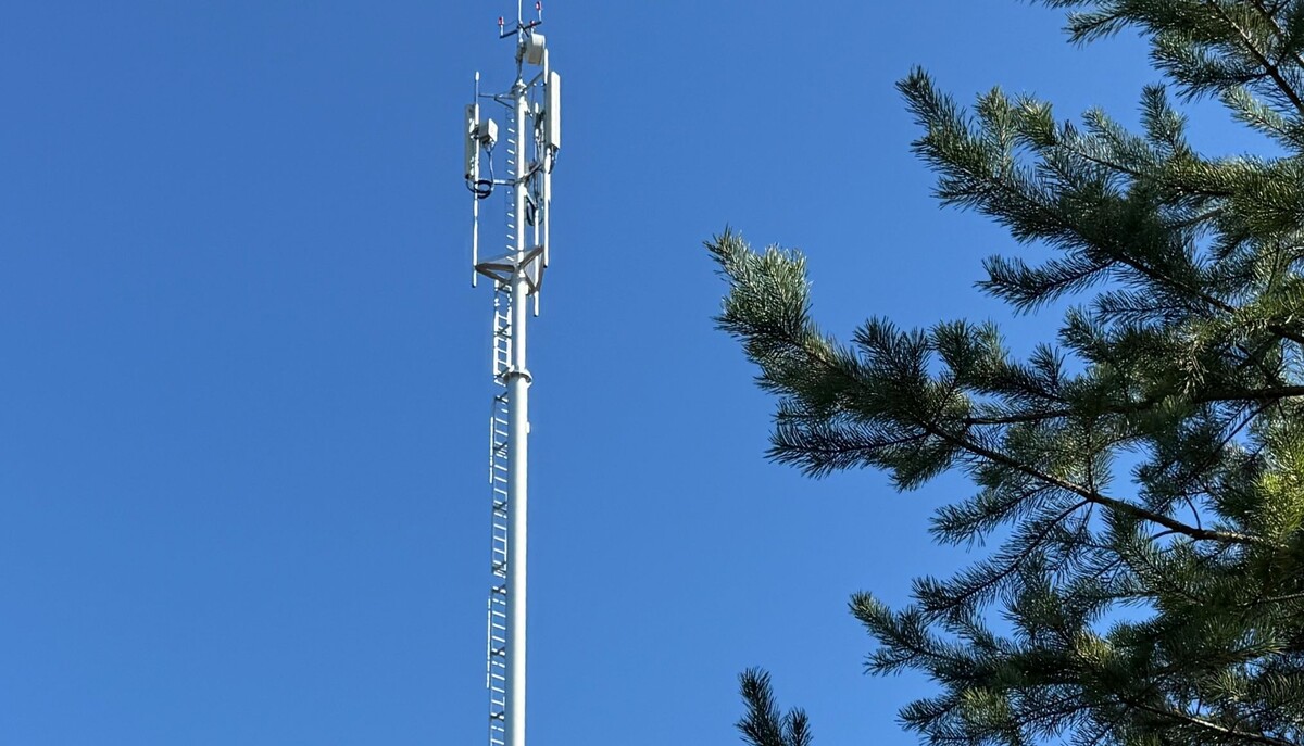    фото: © Минтранс