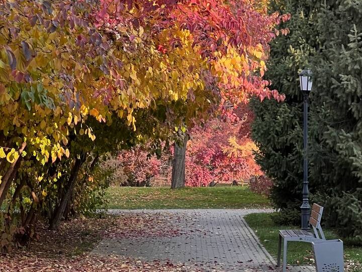 Такси и другой транспорт в Алматы