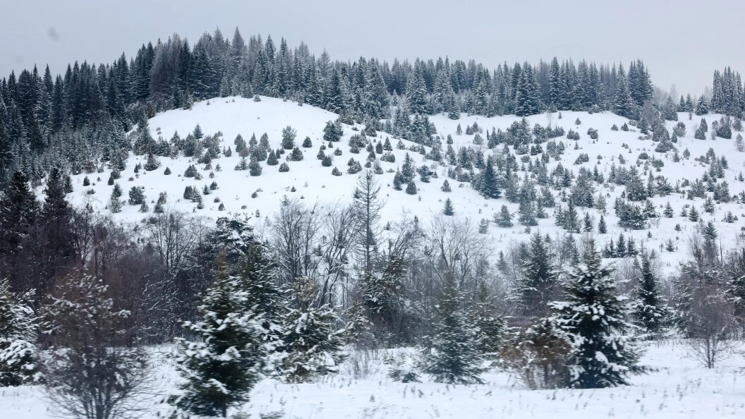    Фото: Elena Mayorova/Globallookpress.