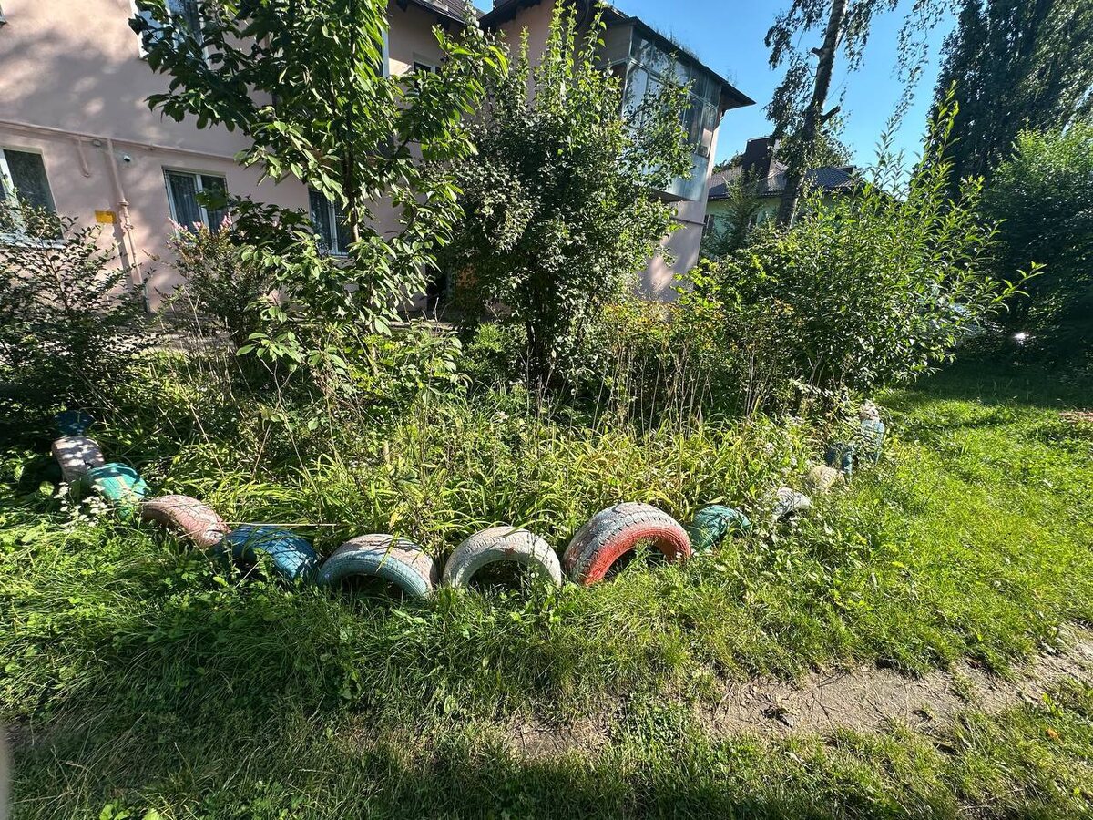 Фото: Прокуратура Курской области