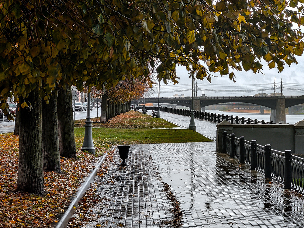 Погода в Твери 29 октября. Сырость