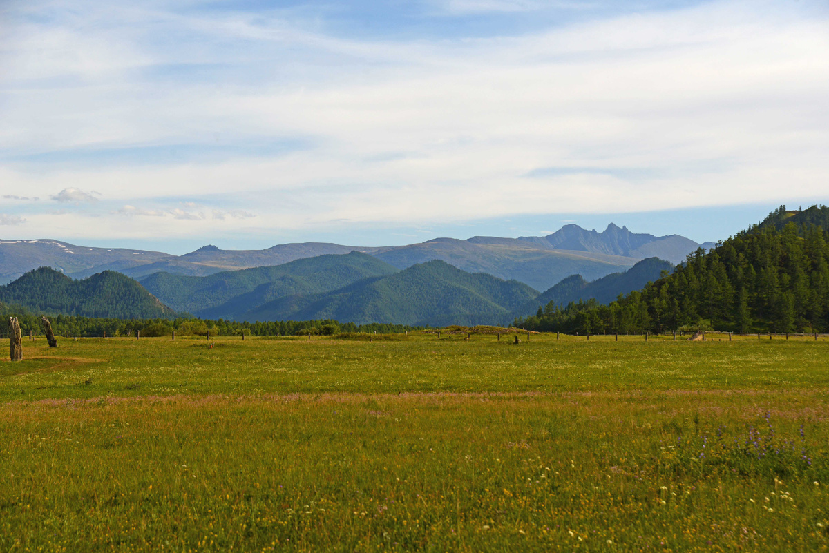 Фото Ольга Шадрина