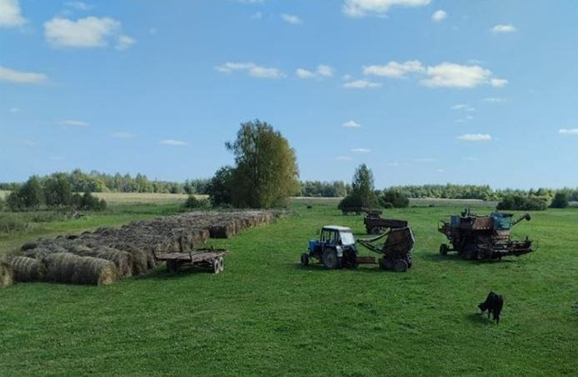 В Тверской области проводится конкурс для многодетных «Лучшее семейное подворье – 2025»