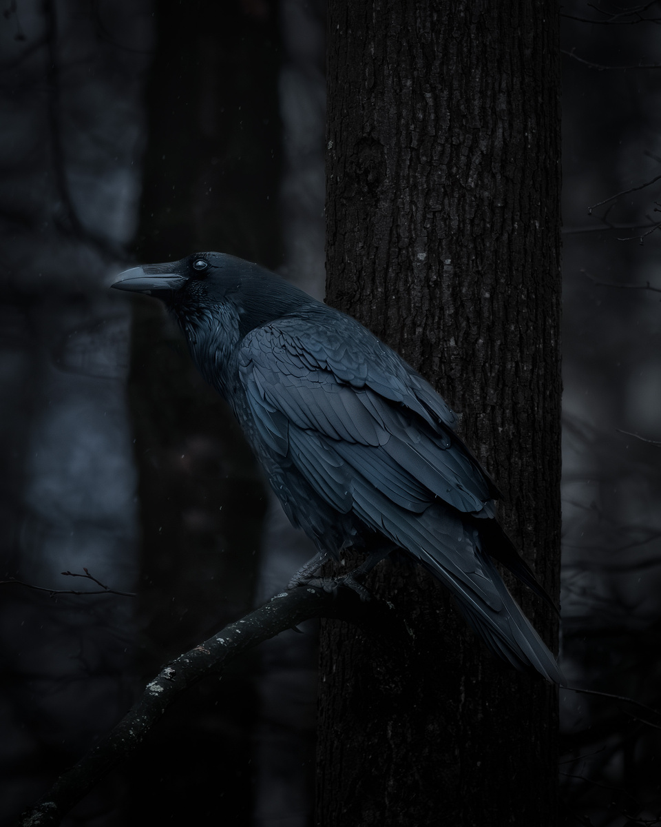 Одна из моих самых любимых фотографий 2025 года