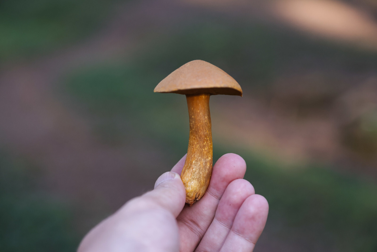 Фото: Роман Пименов
