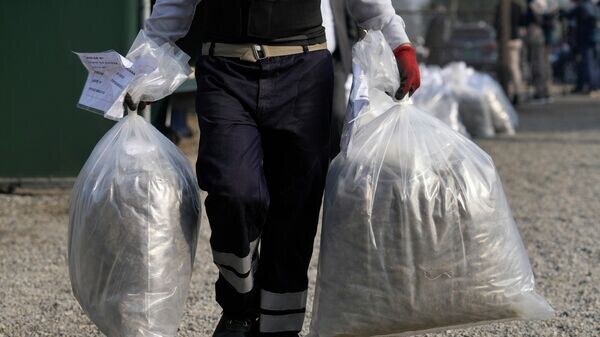    © AP Photo / Martin Mejia