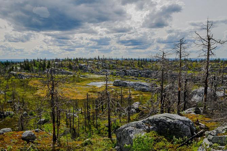 Фото из свободных источников.