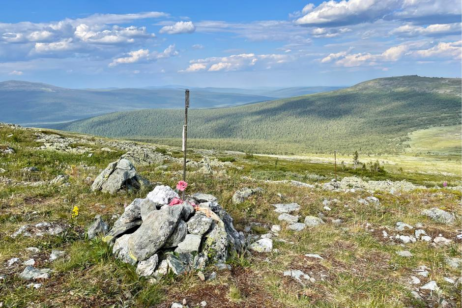 Фото из свободных источников.