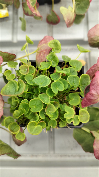 Фото: Juho Haveri-Heikkilä