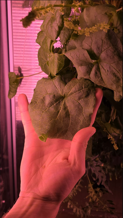 Фото: Juho Haveri-Heikkilä