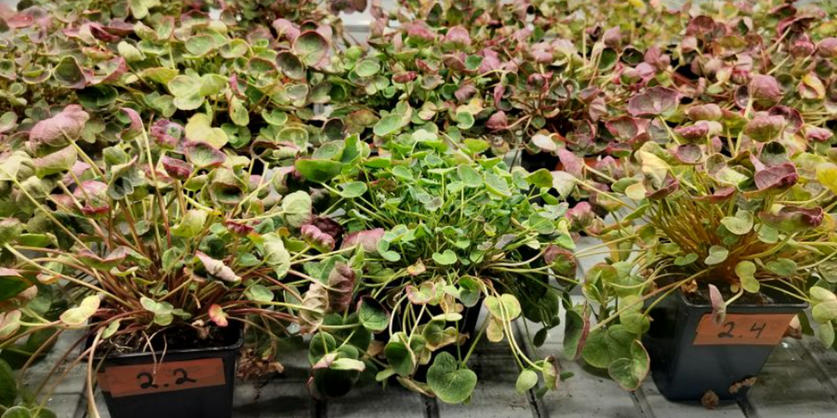 Фото: Juho Haveri-Heikkilä