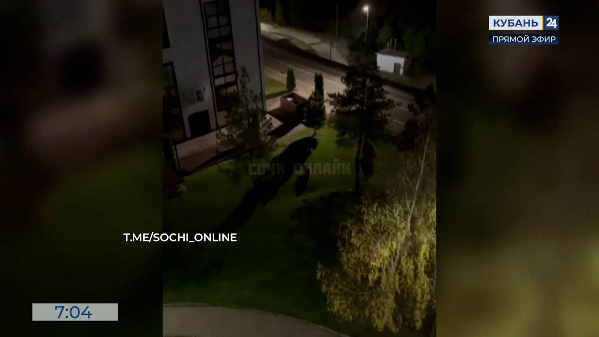    Скриншот видео телеканала «Кубань 24»