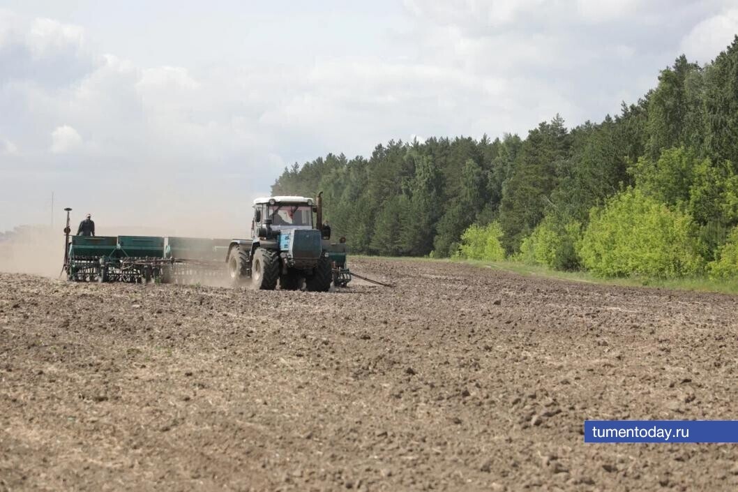  Фото Сергея Куликова