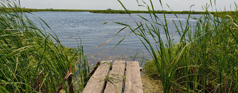 картинка из интернета