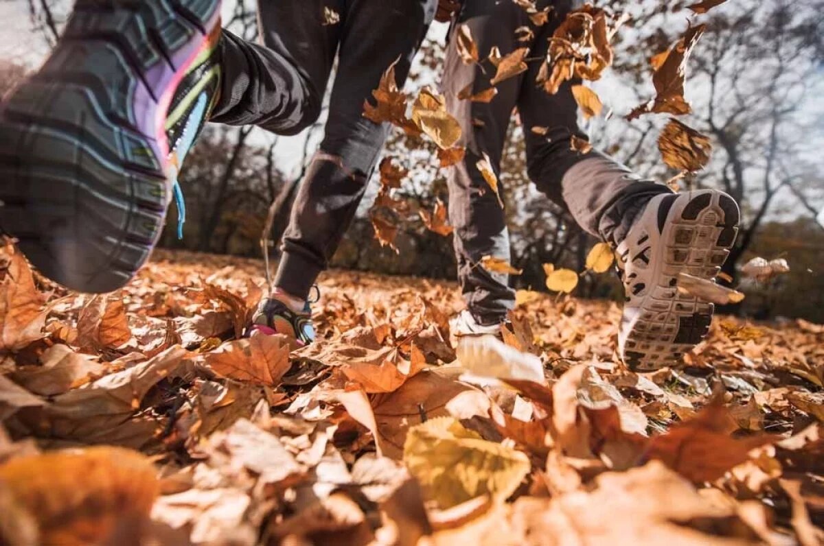    Риск развития аллергической реакции тем выше, чем дольше человек находится в контакте с листьями, к тому же подбрасывает их, бегает.