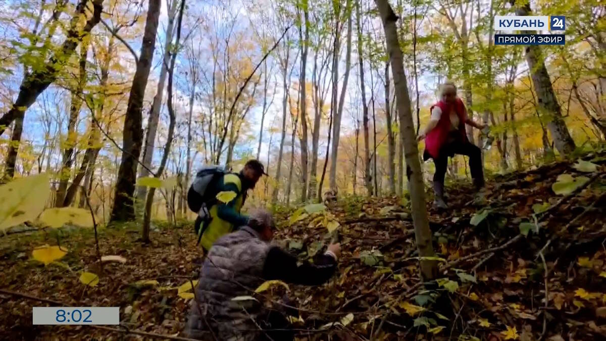    Скриншот видео телеканала «Кубань 24»