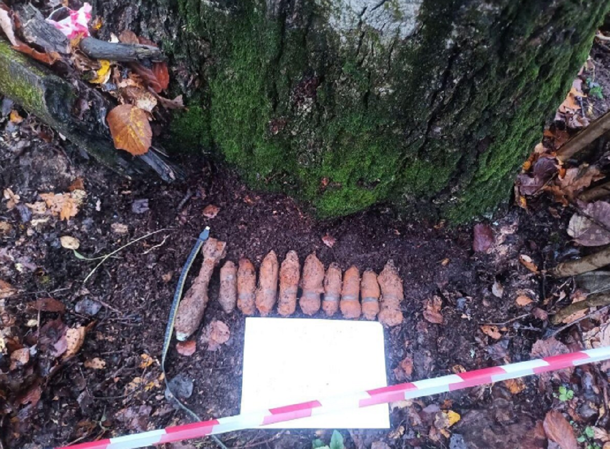    Фото: ГКУ МО «Мособлпожспас»