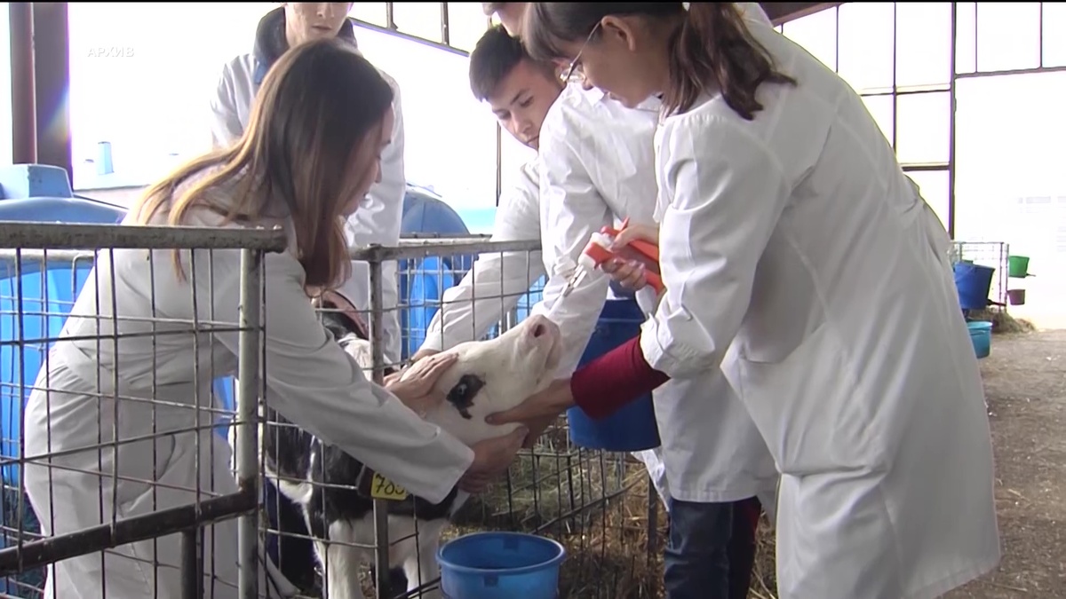    Более 10 тысяч участников студотрядов трудоустроили в Башкирии