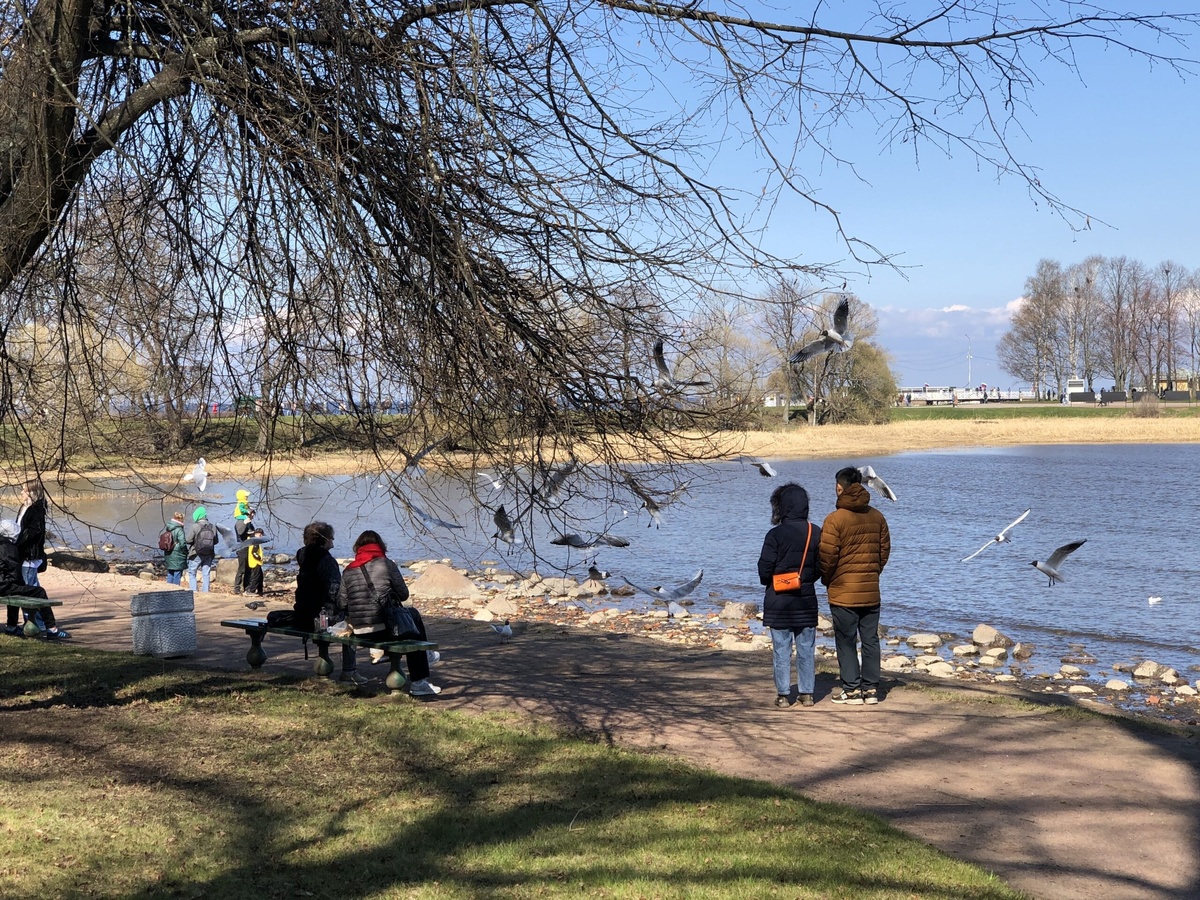Фото: Neva.Today/Анастасия Смирнова