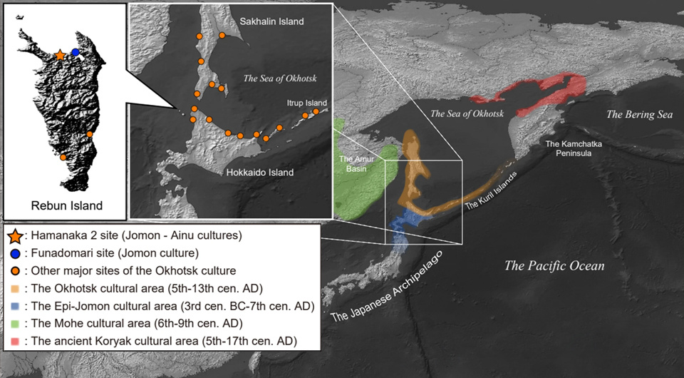   Takehiro Sato et al. / Scientific Reports, 2025