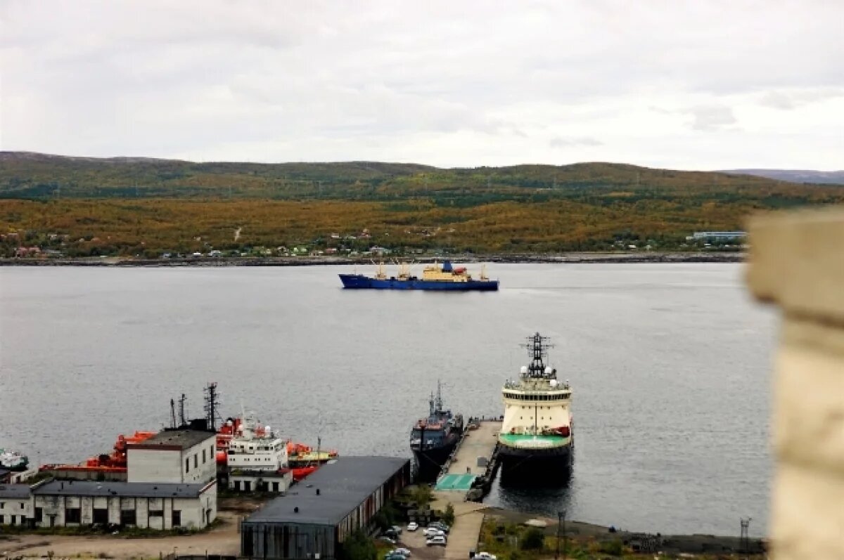    В Заполярье незаконно добыли водные биоресурсы на более 31 млн рублей