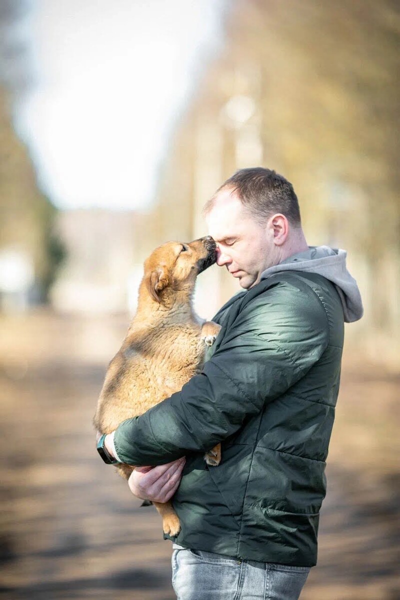 Малыш Даня из приюта «Щенячий Ангел»