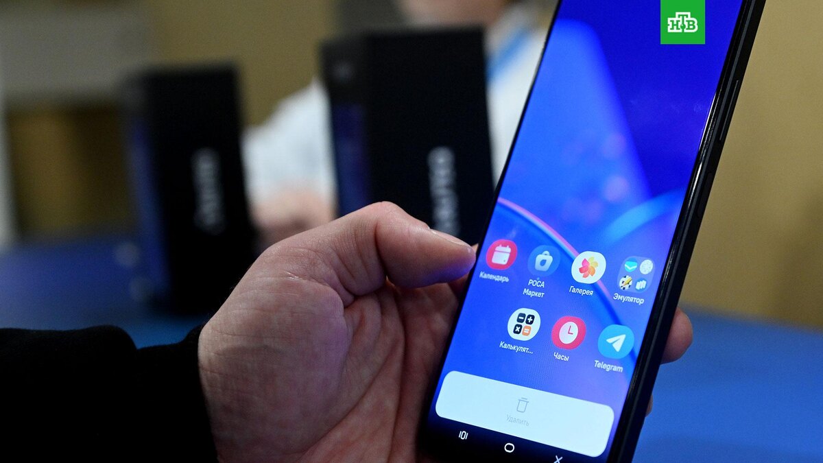    Фото: РИА Новости © 2025, Кирилл Каллиников