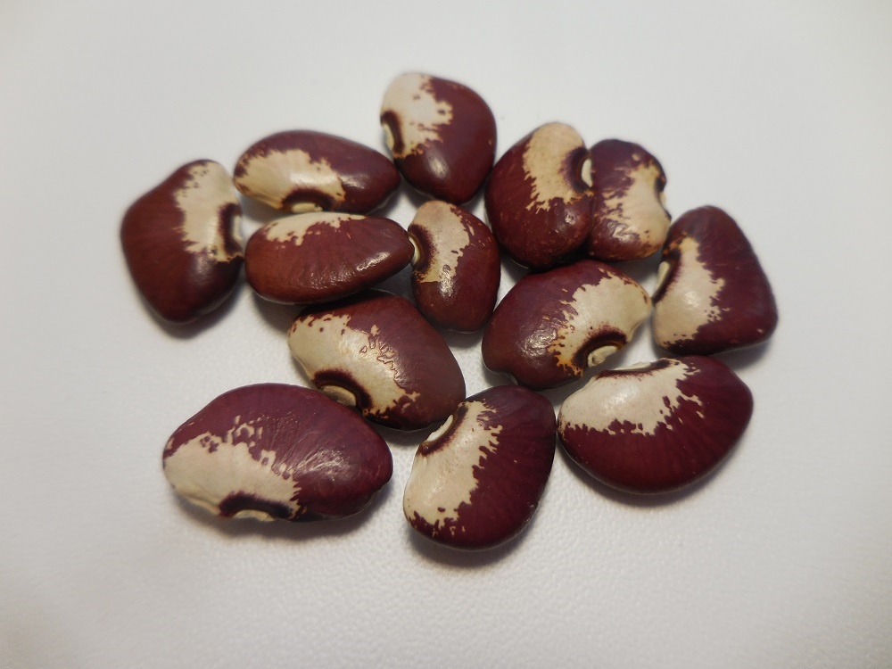 Снег на Горе