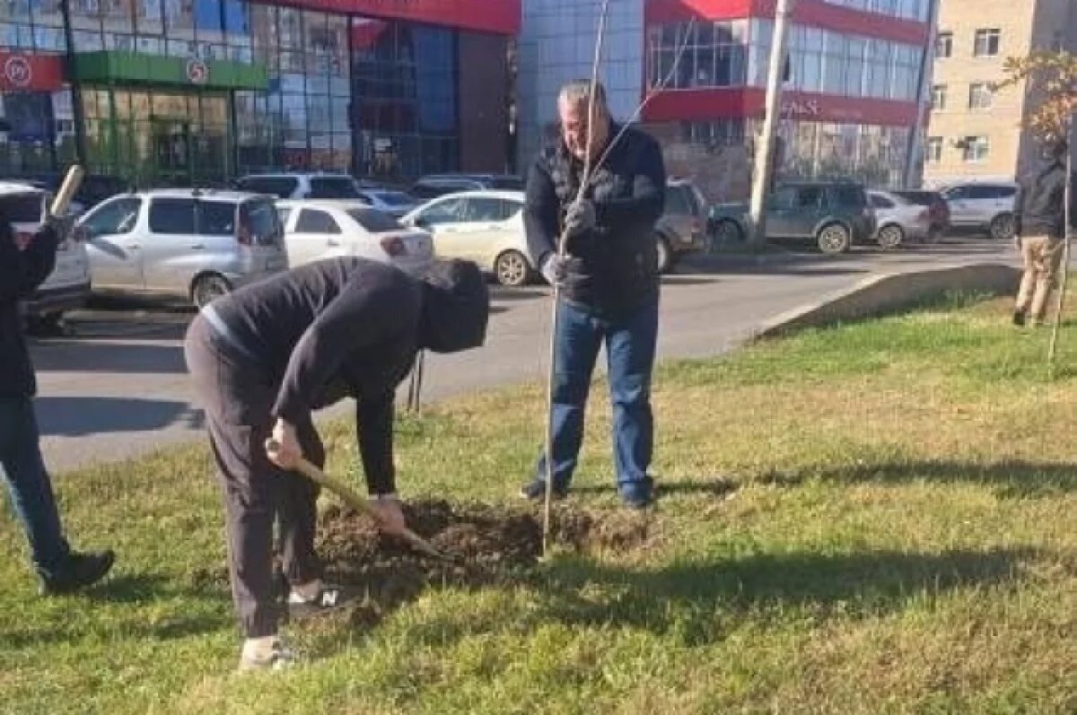    В Астрахани продолжается озеленение городских пространств
