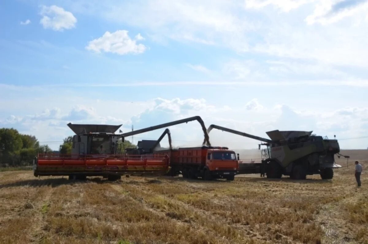    То дожди, то засуха.