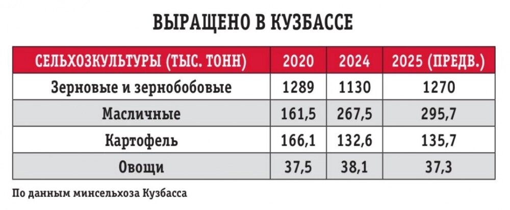    Фото: kuzbass.aif.ru/ Анна Иванова