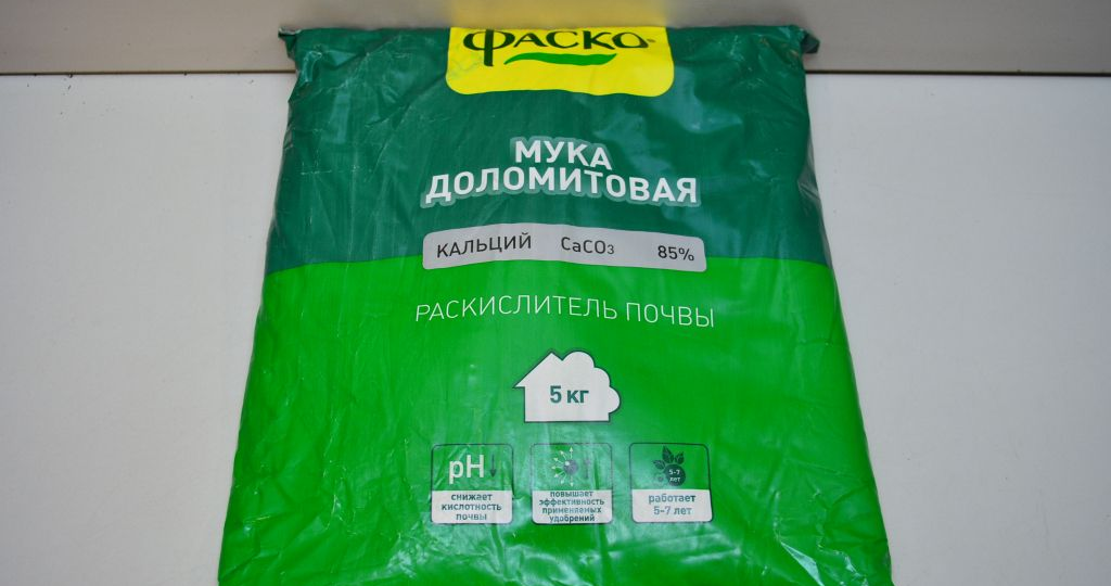 Осеннее известкование: как правильно внести доломитовую муку под зиму для щедрого урожая